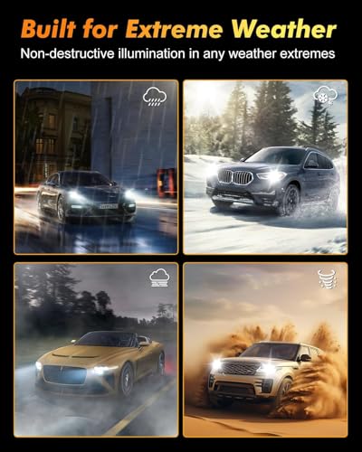 Termitor High Performance D3S Light Bulbs for Off-road - color: D3S-
