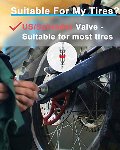 Riseuvo 100Pcs Schrader Tire Valve Cores - size: 100pcs-valvecores