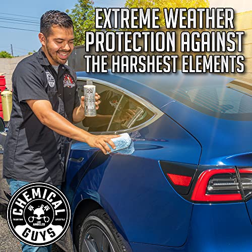 Chemical Guys, JetSeal Anti-Corrosion Paint Sealant & Protectant, 16 oz
