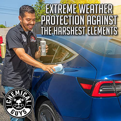 Chemical Guys, JetSeal Anti-Corrosion Paint Sealant & Protectant, 16 oz