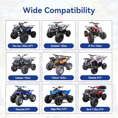 Complete Wiring Harness Kit Compatible with Tao tao Coolster 110cc 125cc Chinese ATV Quad 4 Wheeler 4 Stroke Parts with Ignition Coil Relay Solenoid Voltage Regulator CDI Box Stator Starter