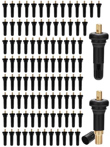 TAUTOY 100 PCS TPMS 17-20008 Snap-in Tire Pressure Sensor Valve Stem 2005-2016 for Jeep Ford Chevrolet/Chevy Dodge Chrysler Buick Ram Cadillac Pontiac Subaru Lincoln Saturn Hyundai,20008 20018