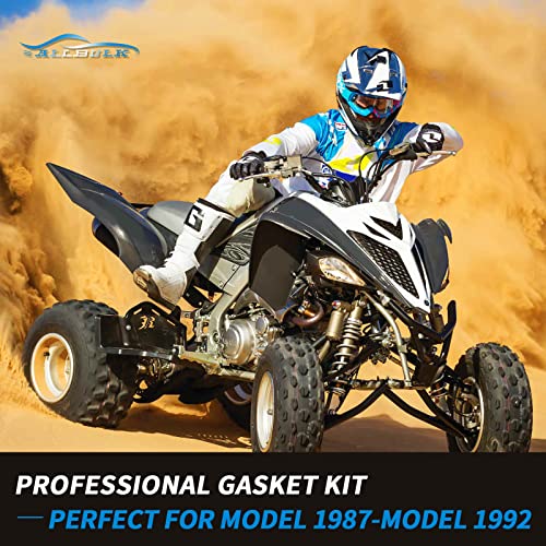 Full Engine Rebuild Gasket Kit, Compatible Parts Suzuki LT250R, Top End Cylinder Head and Conversion Sealing Set