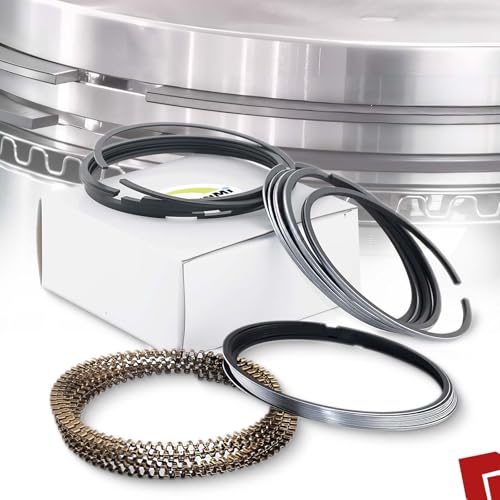 Moly Piston Rings Set 2M4978 for Chevy GMC