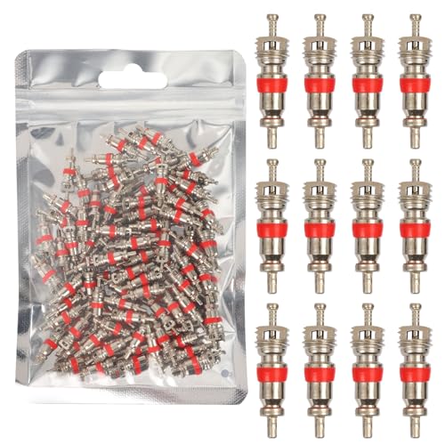 9002/TRC1 Nickel Plated Brass Tire Valve Core for Most Automotive, RV, ATV, Tire Valve Stems Remover Replacement, Length 0.75'',Dia 0.2'', Pack of 100 - size: 9002/TRC1 100pcs