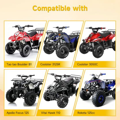 HIAORS Rear Hydraulic ATV Foot Brake Kit for Taotao Coolster 110cc 125cc - color: gray