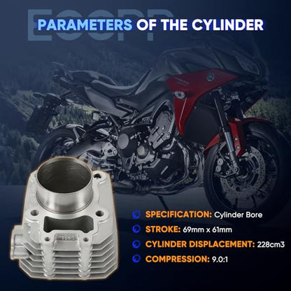 ECCPP 228CC Cylinder Piston Top End Kit for Kawasaki for KLF250 Bayou - size: 11005-1965