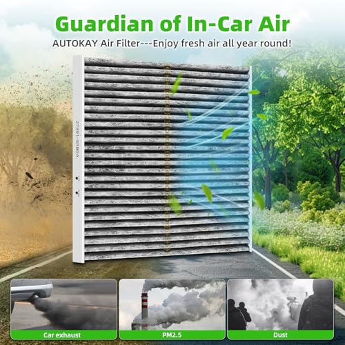 AUTOKAY CA12315 CF12312 Engine & Cabin Air Filter for Nissan Kicks Versa