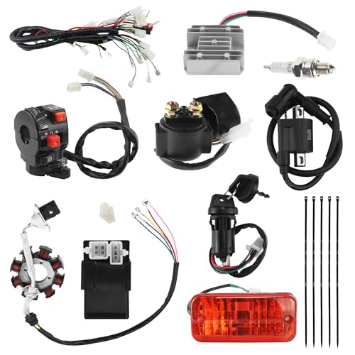 PRO BAT Full Lifan 200cc Dirt Bike Electrical Wiring Harness Kit - color: W Spark Plug & B Ignition Coil & S Rectifier