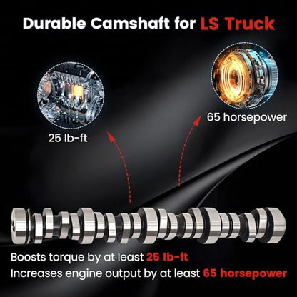 Stage 2 Cam Kit with .560 Lift Beehive Springs Seals Pushrods for LS Truck