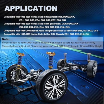 MOSTPLUS 4pcs Full Lowering Coilovers Struts Suspensions Shock Compatible with 2005 2006 2007 2008 2009 2010 Scion TC Struts Height Adjustable by 1-3” - size: 2005-2010 Scion TC