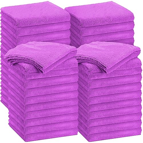 Shimeyao 30 Pcs 16 x 16 Inch Edgeless Microfiber Plush Towels for Cars Detailing Drying Wash Polishing Absorbent Cleaning Cloths, 500 GSM (Purple) - color: Purple, size: 16 x 16 Inch