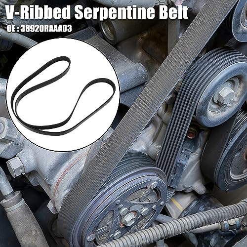 X AUTOHAUX 7PK1781 Car Engine Multi V-Ribbed Serpentine Drive Belt No.38920-RAA-A03/38920-RAA-505 for Honda Accord 2003-2007 2.4L