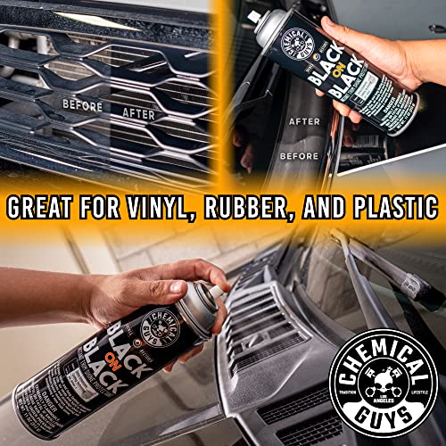 Chemical Guys, Black on Black Instant Exterior Trim Shine Dressing, 11 oz
