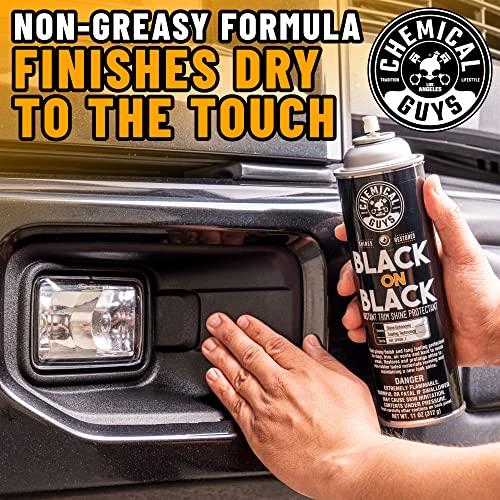 Chemical Guys, Black on Black Instant Exterior Trim Shine Dressing, 11 oz