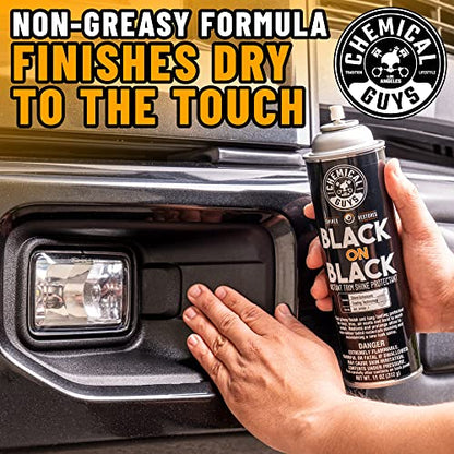 Chemical Guys, Black on Black Instant Exterior Trim Shine Dressing, 11 oz