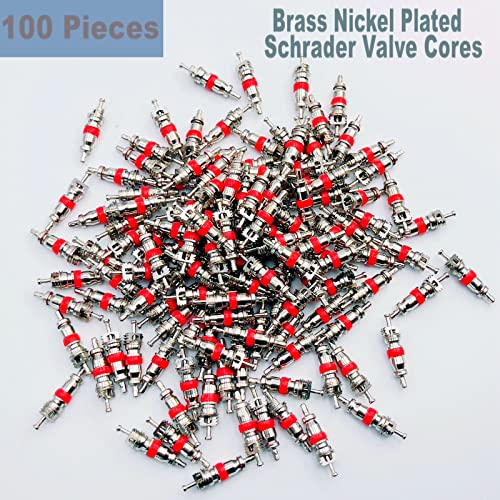 Valve Core Remover with 100 Pcs Car Truck Replacement TPMS Nickel Plated Tire Tyre Valve Stem Core Dual Single Head Valve Core Remover Tire Repair Tool Set
