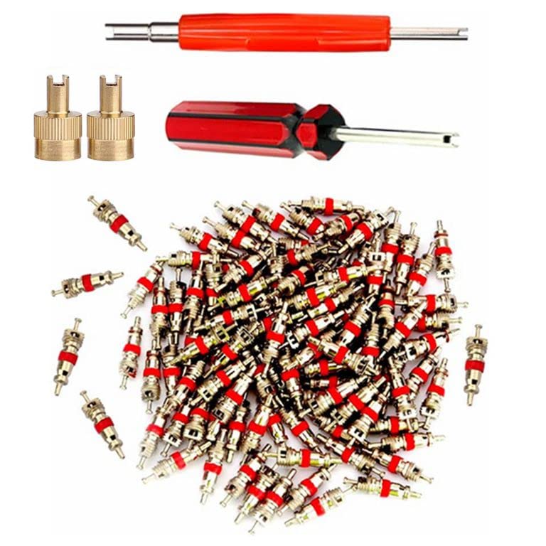 Valve Core Remover with 100 Pcs Car Truck Replacement TPMS Nickel Plated Tire Tyre Valve Stem Core Dual Single Head Valve Core Remover Tire Repair Tool Set