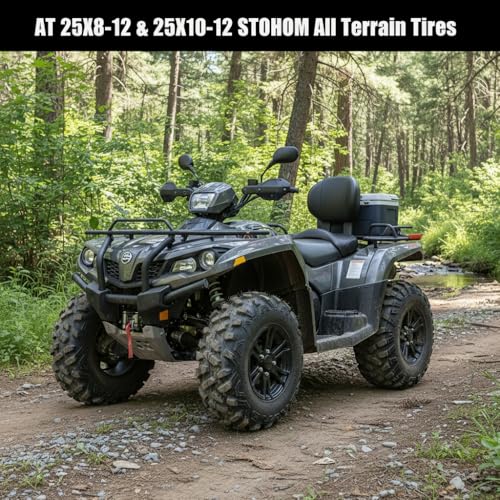 Set of 2 tires AT25X10-12 25X10X12 tires ATV/UTV Lawn-Mowers Off-Road Tires 6 PR, Tubeless, Replacement Off-Road Tire for Four Wheelers, Light Mud, Sand, Trail Use - size: QD137 25X10-12