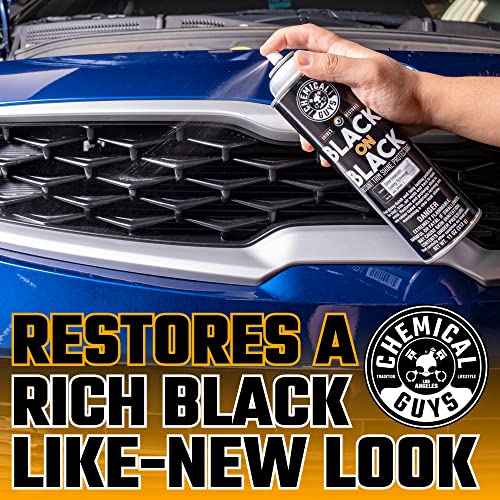 Chemical Guys, Black on Black Instant Exterior Trim Shine Dressing, 11 oz