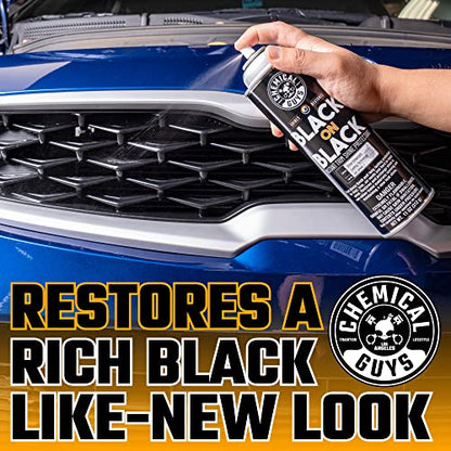 Chemical Guys, Black on Black Instant Exterior Trim Shine Dressing, 11 oz