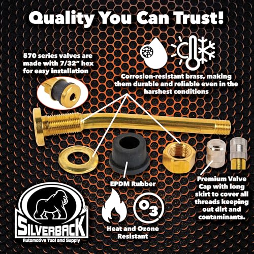 Silverback TR572 Brass Truck Tire Valve 13° Bend, Pack of 25