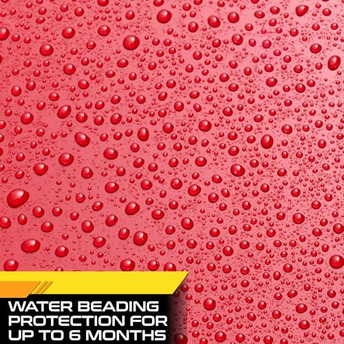 Formula 1 Carnauba Car Wax Paste - High-Gloss Shine - Polish for Car Detailing to Shine & Protect – Remove Haze and Paint Swirls w/Micropolishing Agents – Car Cleaning Supplies (8 oz) (Pack of 2) - size: 8 Fl Oz (Pack of 2)